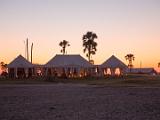 Africa 086 : Africa, Botswana, Hotels and Lodges, Makgadikgadi, Morning Glow, Nature, Palm Trees, San Camp, Travel, Trees